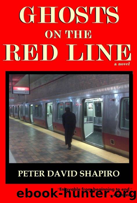 Ghosts on the Red Line by Peter David Shapiro