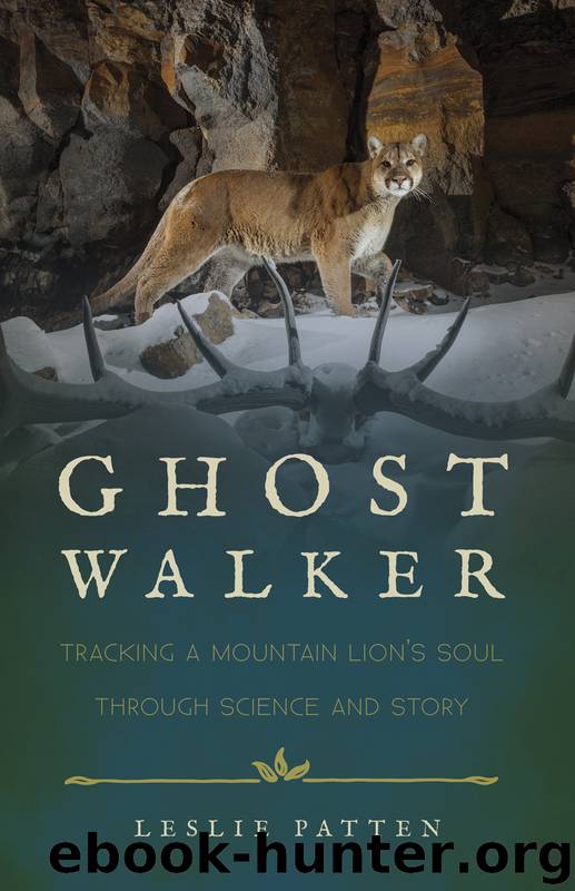 Ghostwalker by Leslie Patten