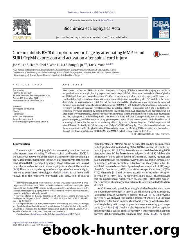 Ghrelin inhibits BSCB disruptionhemorrhage by attenuating MMP-9 and SUR1TrpM4 expression and activation after spinal cord injury by Jee Y. Lee & Hae Y. Choi & Won H. Na & Bong G. Ju & Tae Y. Yune
