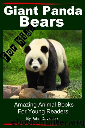 Giant Panda Bears by John Davidson