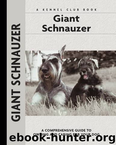 Giant Schnauzer by Barbara J. Andrews
