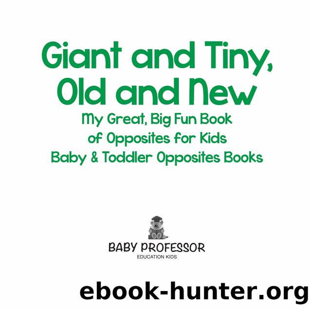 Giant and Tiny Old and New My Great Big Fun Book of Opposites for Kids Baby Toddler Opposites Books by Speedy Publishing