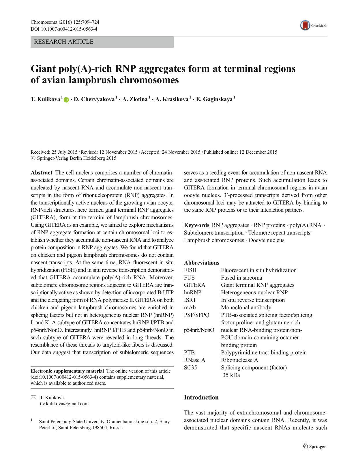 Giant poly(A)-rich RNP aggregates form at terminal regions of avian lampbrush chromosomes by T. Kulikova & D. Chervyakova & A. Zlotina & A. Krasikova & E. Gaginskaya