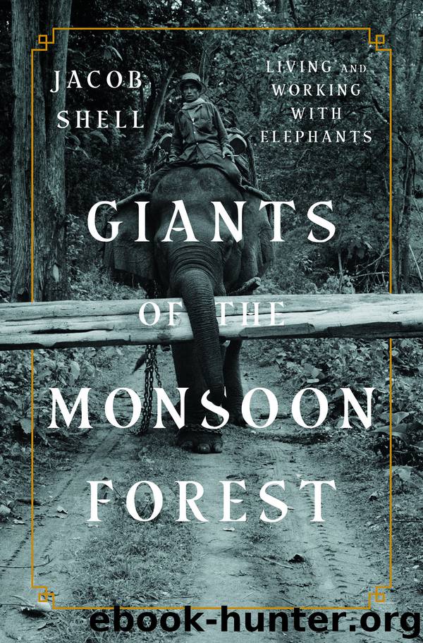 Giants of the Monsoon Forest by Jacob Shell