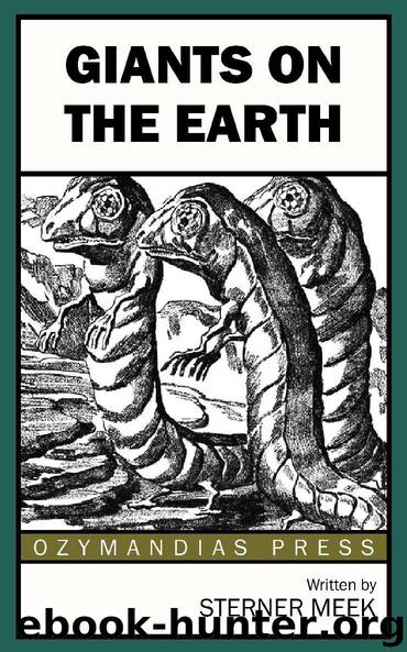 Giants on the Earth by Sterner Meek