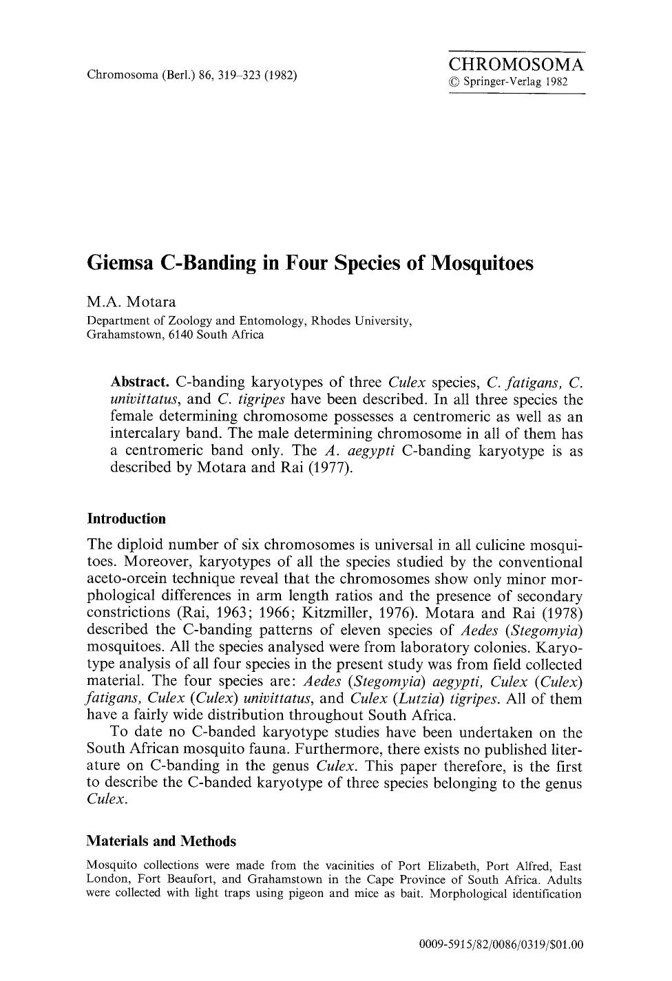 Giemsa C-banding in four species of mosquitoes by Unknown