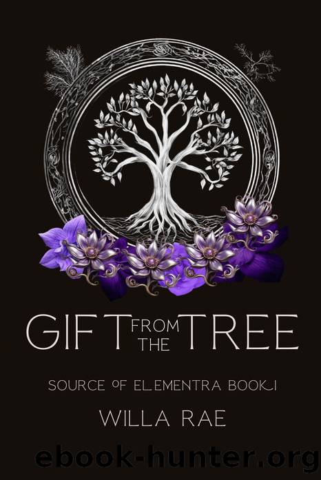Gift from the Tree: Source of Elementra Book 1 by Willa Rae