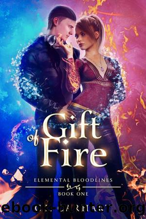 Gift of Fire by C.L. Carhart
