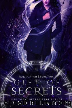 Gift of Secrets by Amir Lane