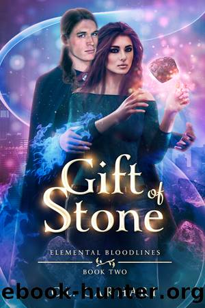 Gift of Stone by C.L. Carhart