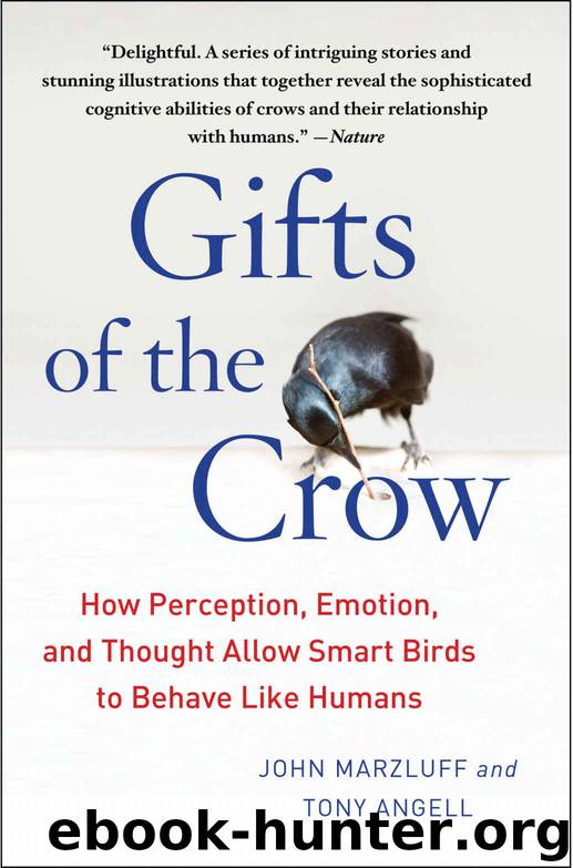 Gifts of the Crow: How Perception, Emotion, and Thought Allow Smart Birds to Behave Like Humans by John Marzluff & Tony Angell