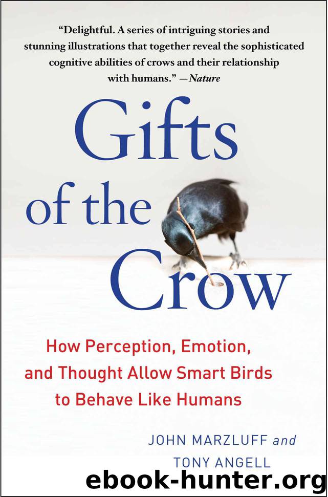 Gifts of the Crow: How Perception, Emotion, and Thought Allow Smart Birds to Behave Like Humans by Marzluff John & Angell Tony