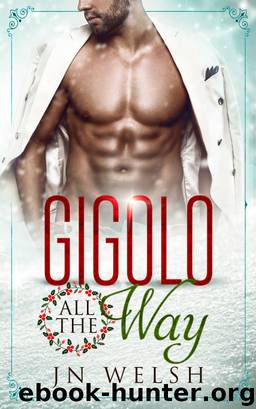 Gigolo All the Way by JN Welsh