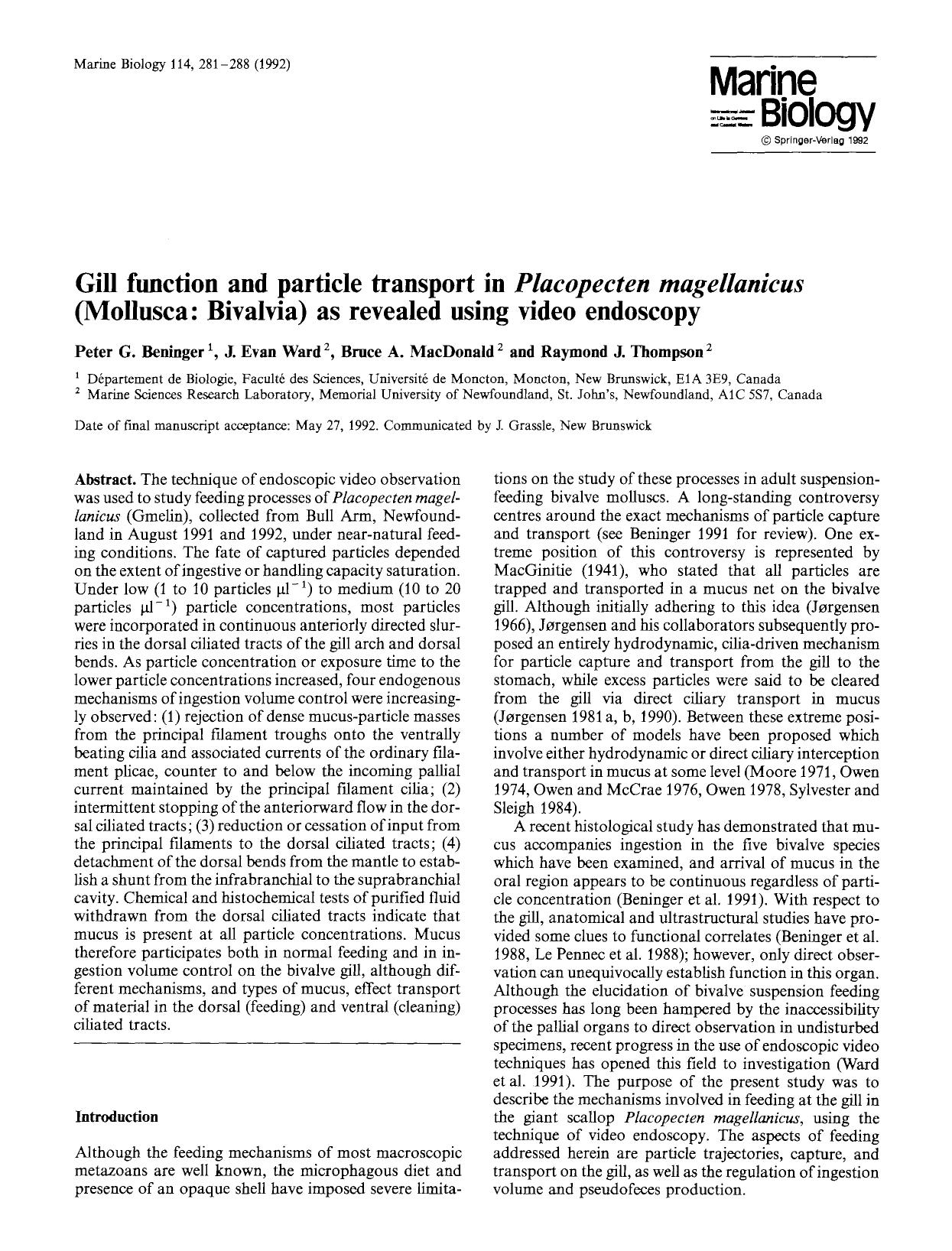 Gill function and particle transport in <Emphasis Type="Italic">Placopecten magellanicus<Emphasis> (Mollusca: Bivalvia) as revealed using video endoscopy by Unknown