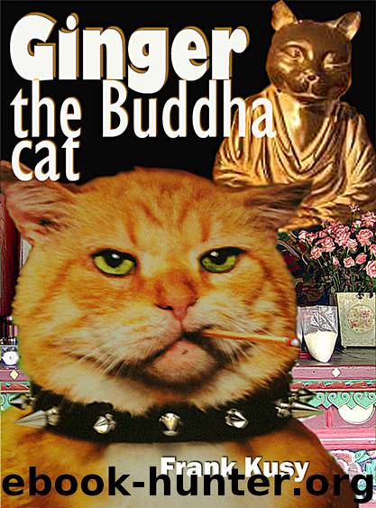 Ginger the Buddha Cat by Frank Kusy