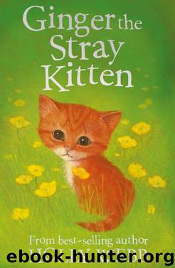 Ginger the Stray Kitten by Holly Webb