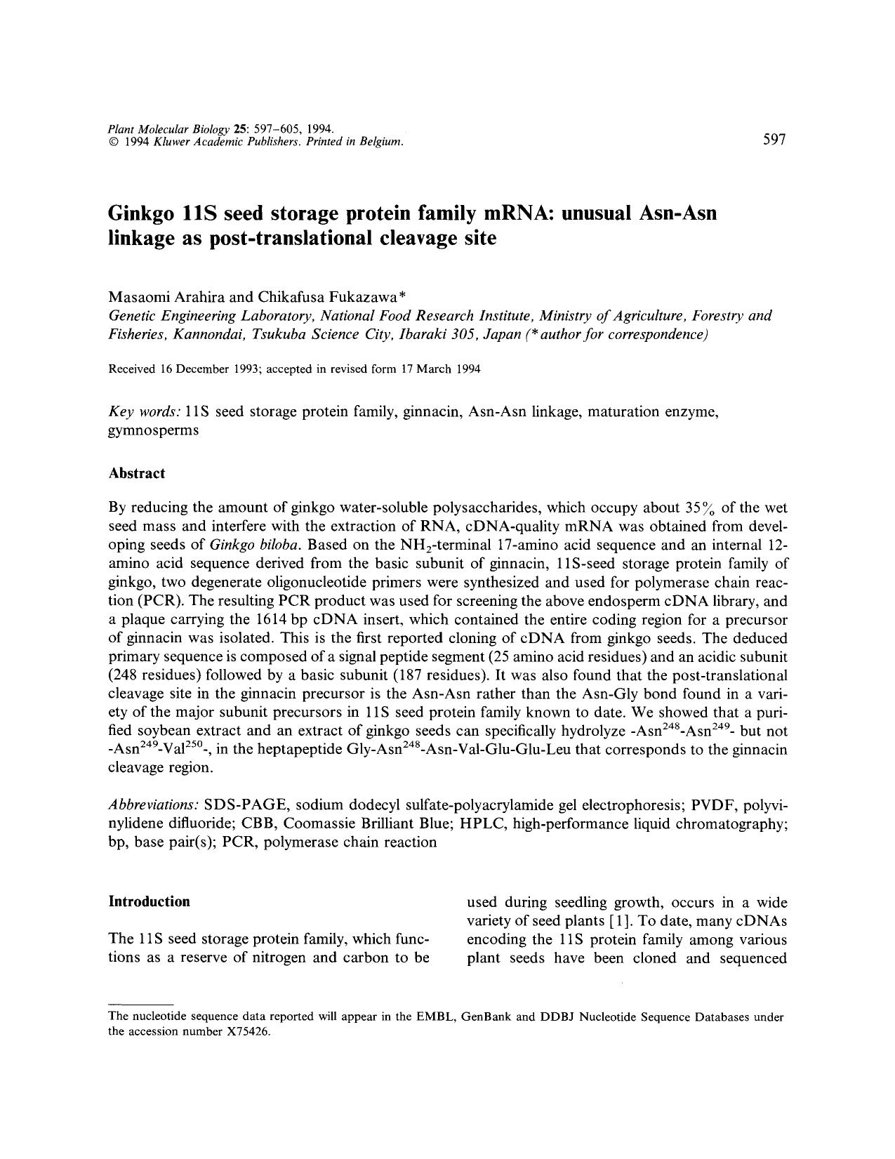 Ginkgo 11S seed storage protein family mRNA: unusual Asn-Asn linkage as post-translational cleavage site by Unknown