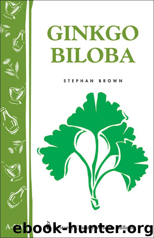 Ginkgo Biloba by Stephan Brown