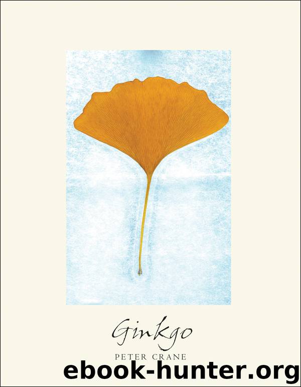 Ginkgo by Peter Crane