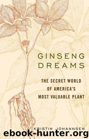 Ginseng Dreams by Kristin Johannsen