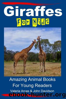 Giraffes For Kids by Valeria Arcas