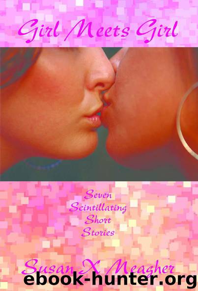 Girl Meets Girl by Meagher Susan X