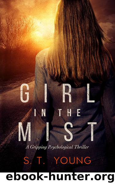 Girl in the Mist by S.T. Young
