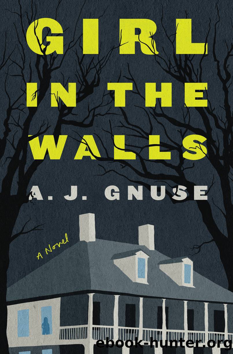 Girl in the Walls by A. J. Gnuse