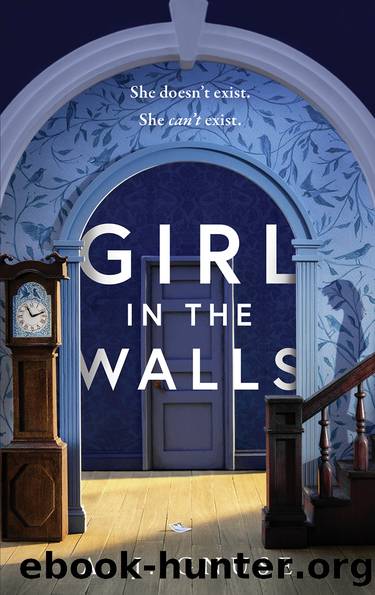 Girl in the Walls by A.J. Gnuse