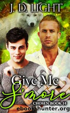 Give Me S'more: Chosen Book 14 by J. D. Light