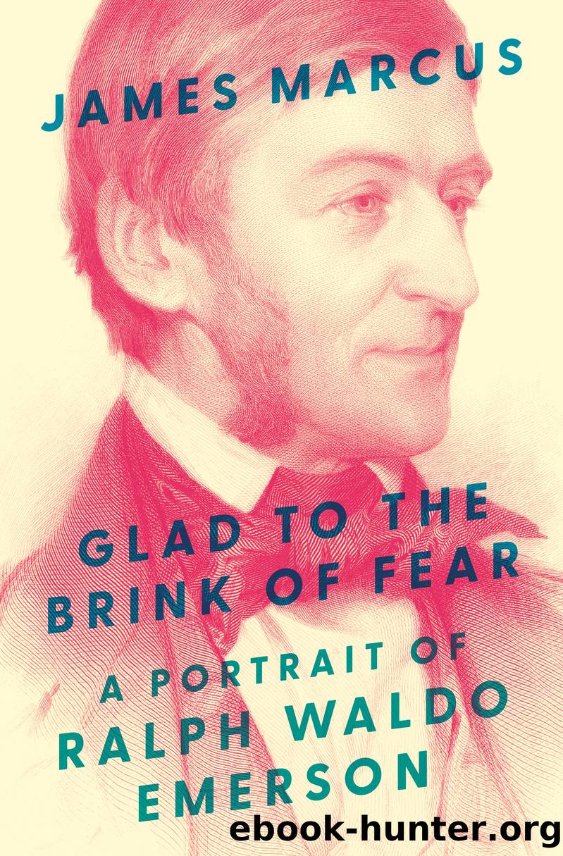 Glad to the Brink of Fear by James Marcus;
