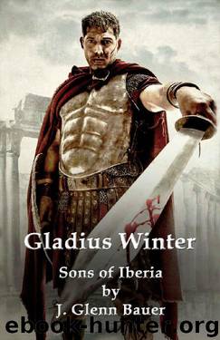 Gladius Winter by J Glenn Bauer