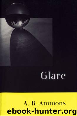 Glare by A. R. Ammons