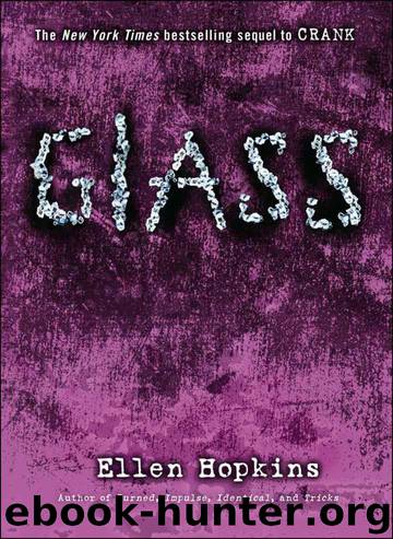 Glass - 02 by Ellen Hopkins