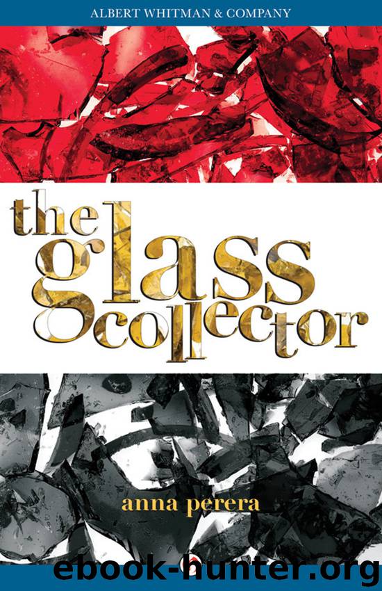 Glass Collector by Anna Perera