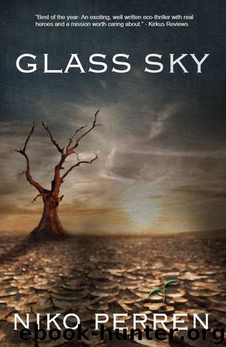Glass Sky by Niko Perren