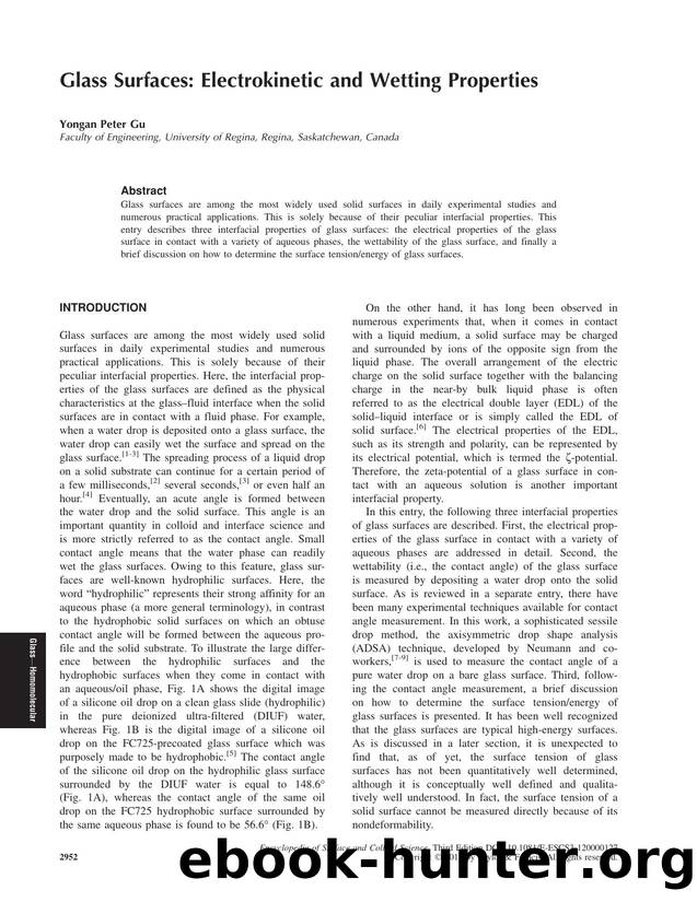 Glass Surfaces: Electrokinetic and Wetting Properties by Yongan Peter Gu