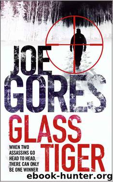 Glass Tiger by Joe Gores
