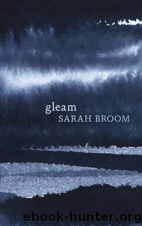 Gleam by Sarah Broom