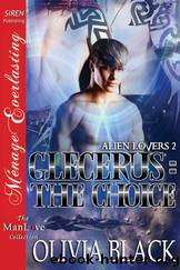 Glecerus- the Choice by Olivia Black