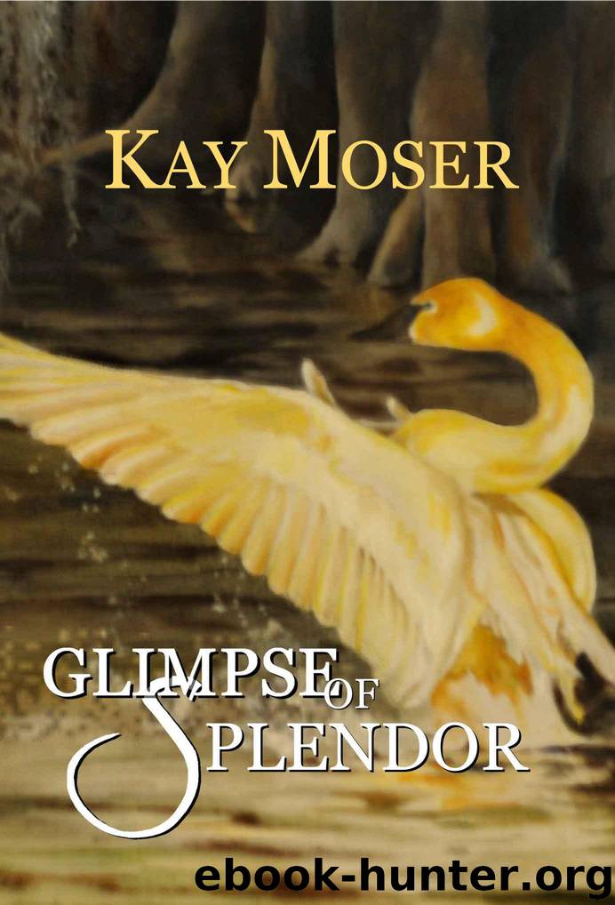 Glimpse of Splendor (The Celebration Series) by Moser Kay
