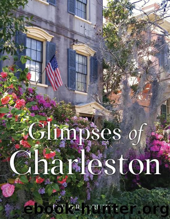 Glimpses of Charleston by David R. AvRutick