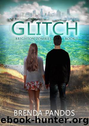 Glitch by Brenda Pandos