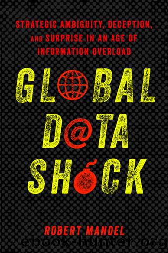 Global Data Shock by Robert Mandel;