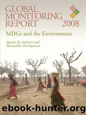 Global Monitoring Report 2008 by The World Bank