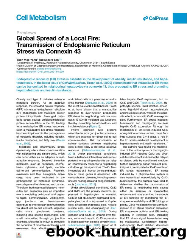 Global Spread of a Local Fire: Transmission of Endoplasmic Reticulum Stress via Connexin 43 by Yoon Mee Yang & Ekihiro Seki