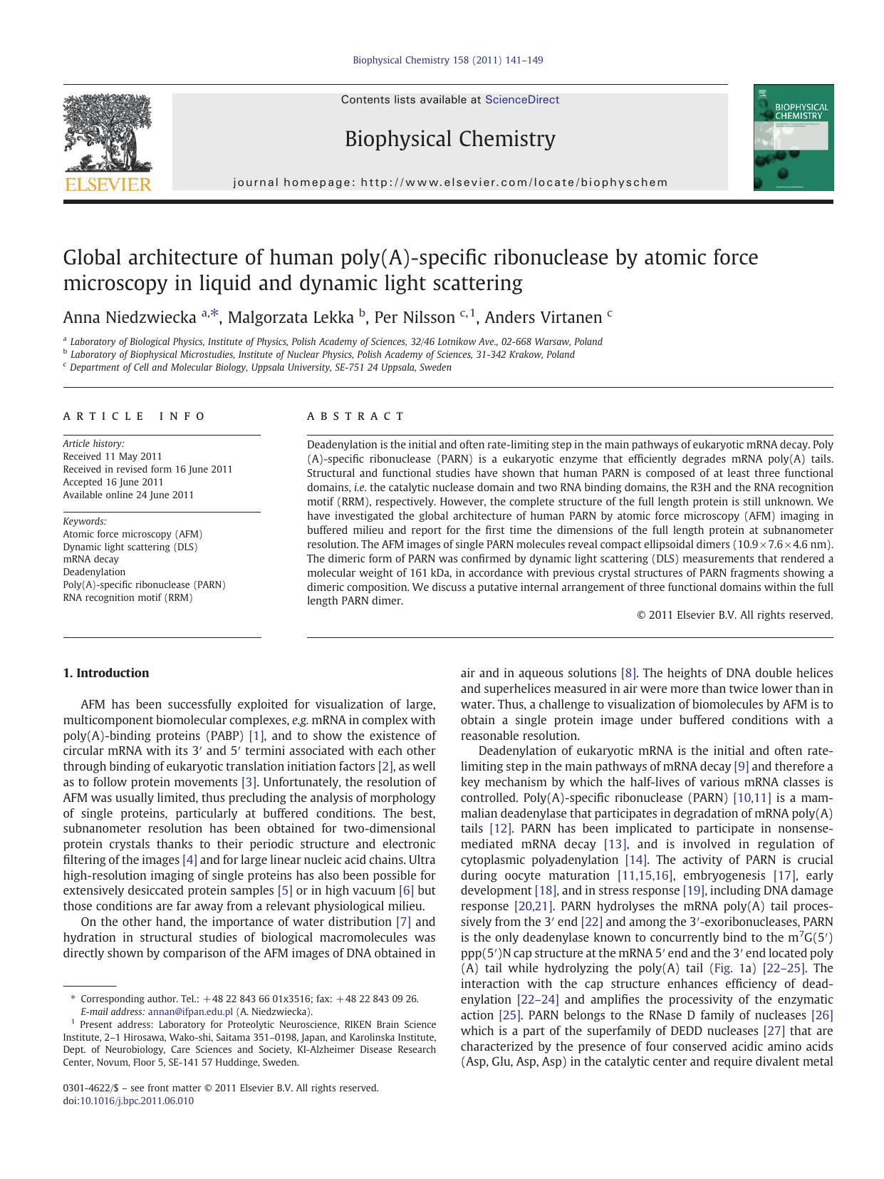 Global architecture of human poly(A)-specific ribonuclease by atomic force microscopy in liquid and dynamic light scattering by Anna Niedzwiecka & Malgorzata Lekka & Per Nilsson & Anders Virtanen