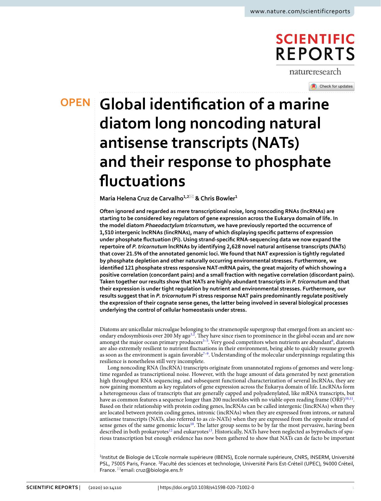 Global identification of a marine diatom long noncoding natural antisense transcripts (NATs) and their response to phosphate fluctuations by Maria Helena Cruz de Carvalho & Chris Bowler