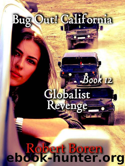 Globalist Revenge by Robert Boren