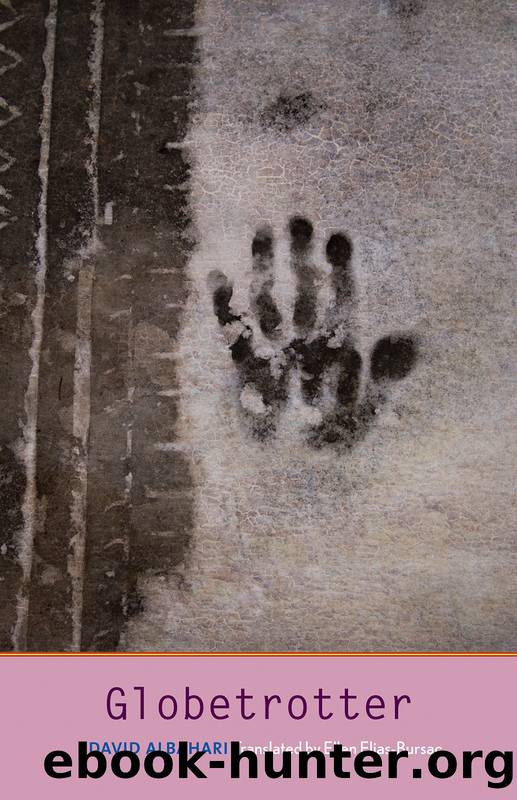 Globetrotter by David Albahari